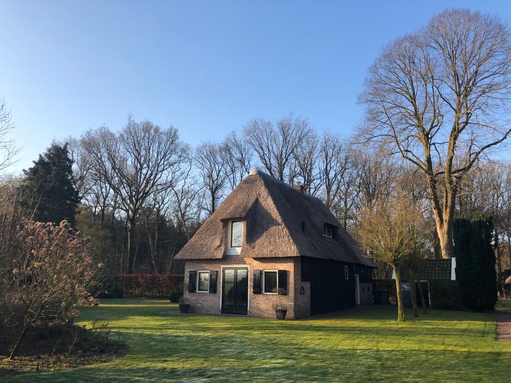 Vakantiehuis in het bos Dwingeloo herfst