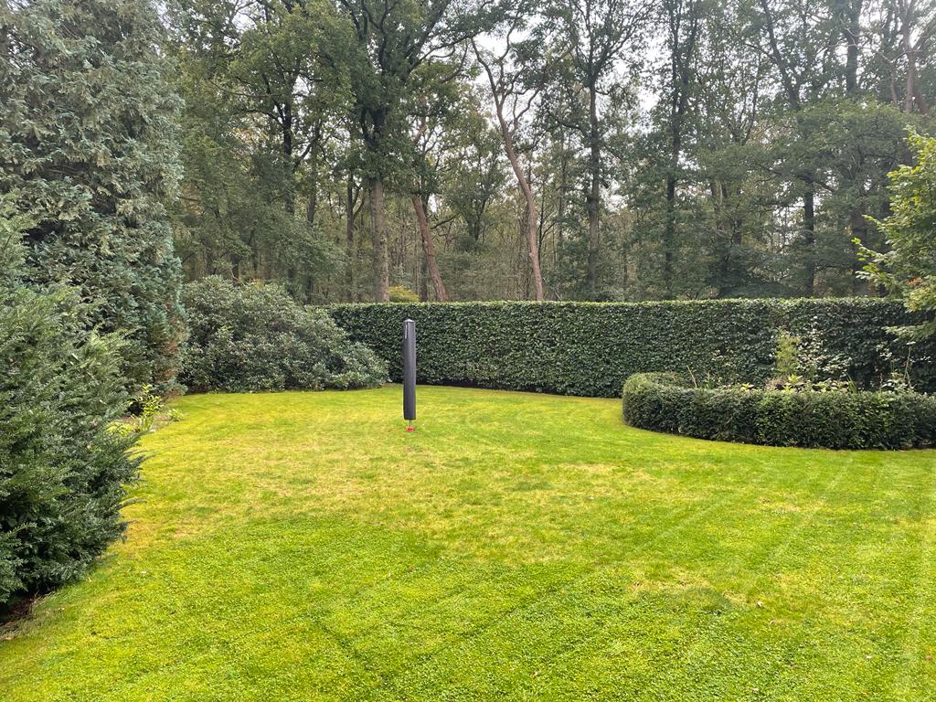 Vakantiehuis in het bos Dwingeloo tuin grasveld